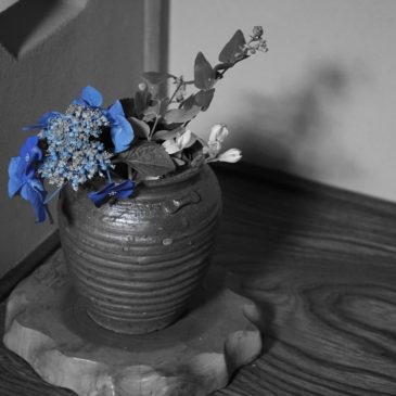 紫陽花と桃山 備前 壺
